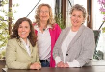 Arbeidsbemiddeling voor executive assistants