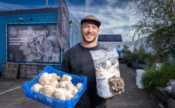 Van koffiedik naar kroket