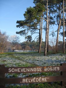 31951-belvedere-scheveningse-bosjes-2007-kopie